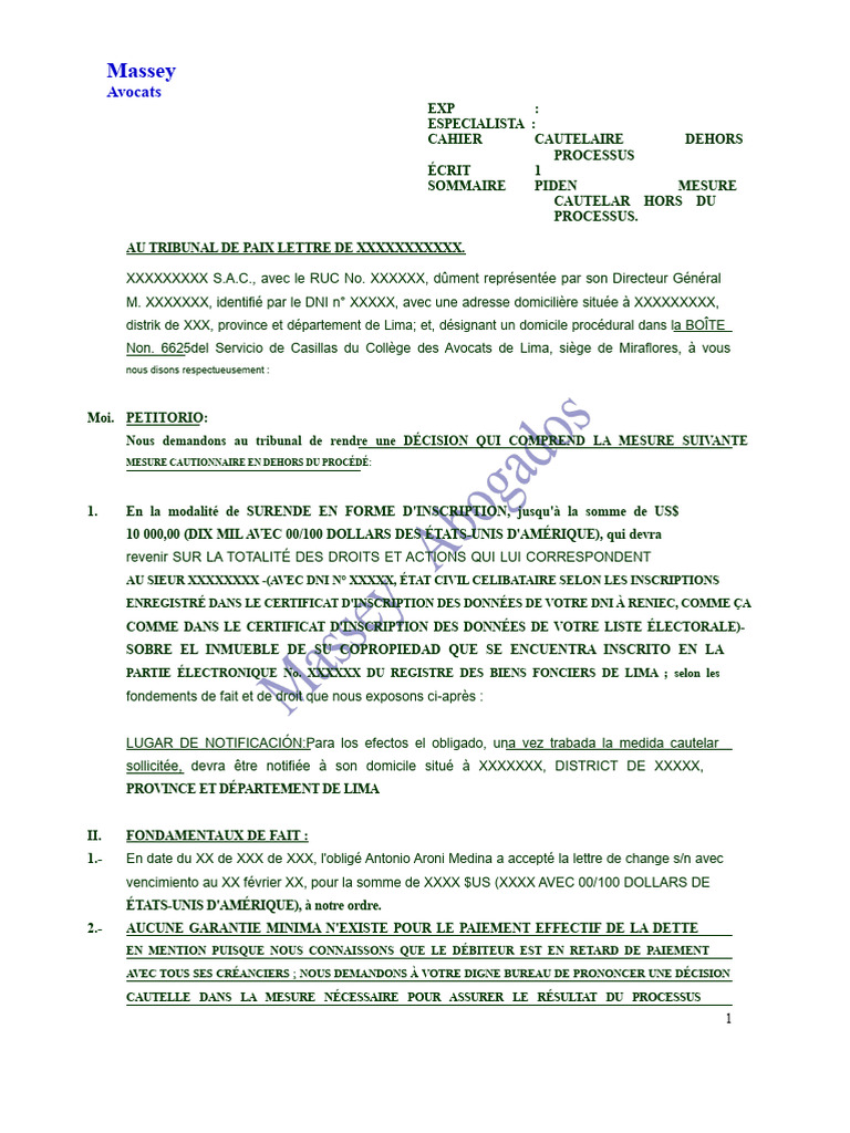 Demande de mesure conservatoire au tribunal | PDF | Débiteur | Justice