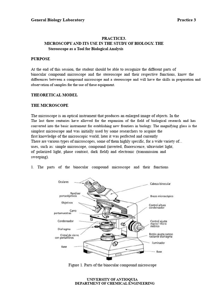 Microscopy Techniques in Biology Lab | PDF | Microscopy | Microscope