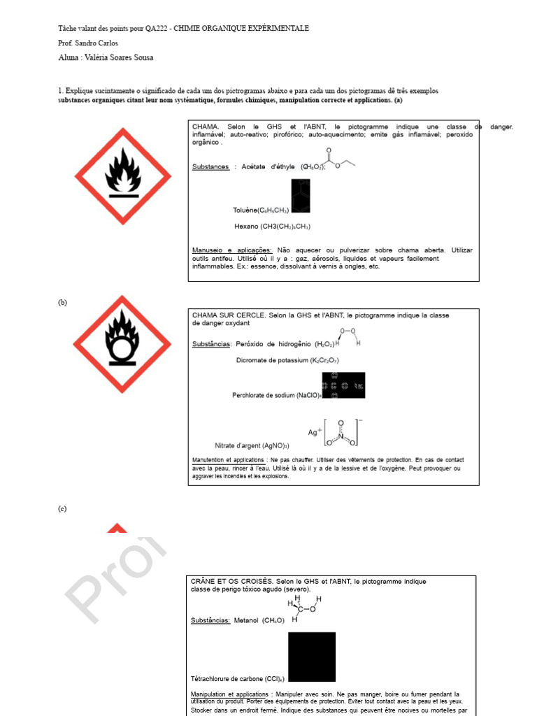 Tâche - Les Pictogrammes de Risque | PDF | Substances chimiques