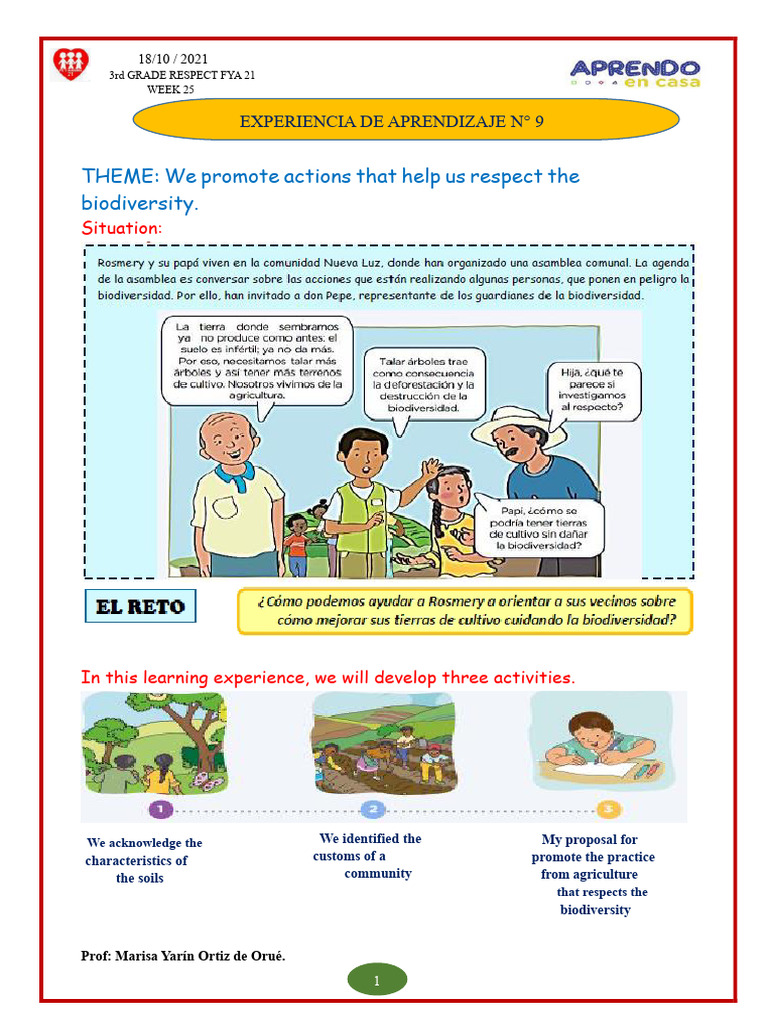 Presentation of The Learning Experience | PDF