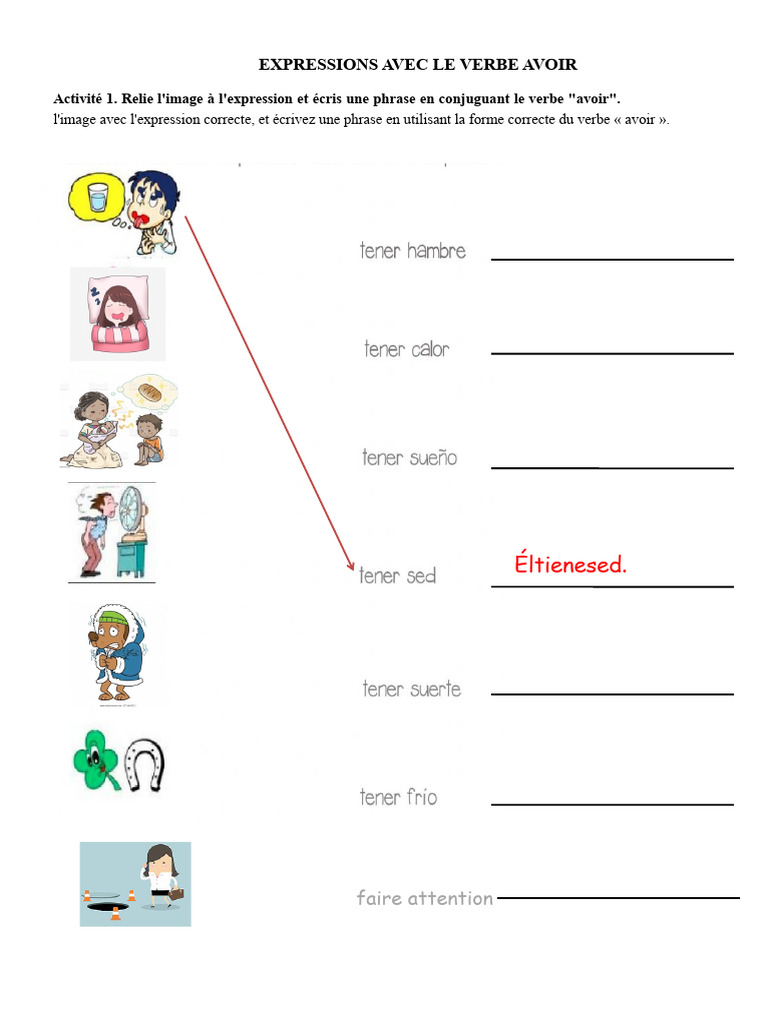 Expressions avec le verbe Avoir | PDF
