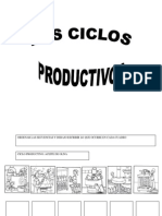 Ciclos Productivos