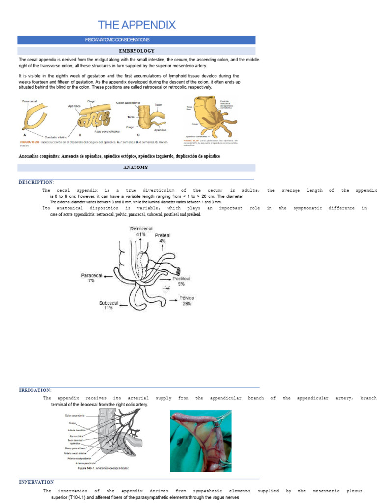 The Appendix | PDF | Abdomen | Surgery