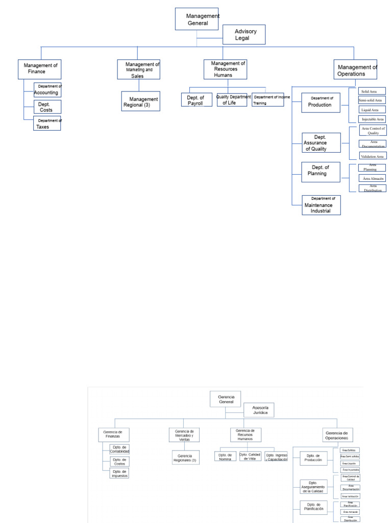 Organizational Chart Pharmaceutical Company | PDF | Economies | Business