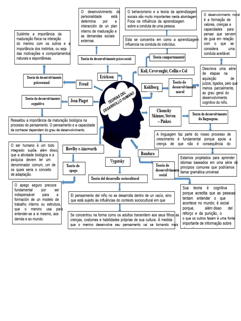 Teorias do Desenvolvimento e Aprendizagem | PDF | Aprendizado | Pensamento