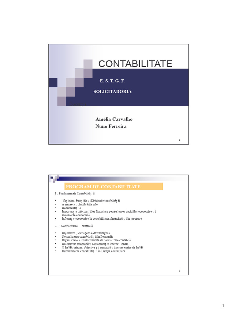Carte de Contabilitate Financiară PDF | PDF