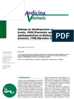 Parasitología: Tremátodos en Ofidios de Colombia - Héctor Charry Restrepo y Javier Benavides