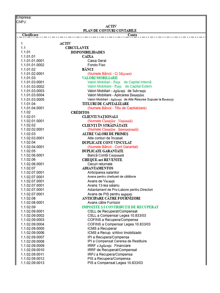 Model de Plan de Conturi | PDF