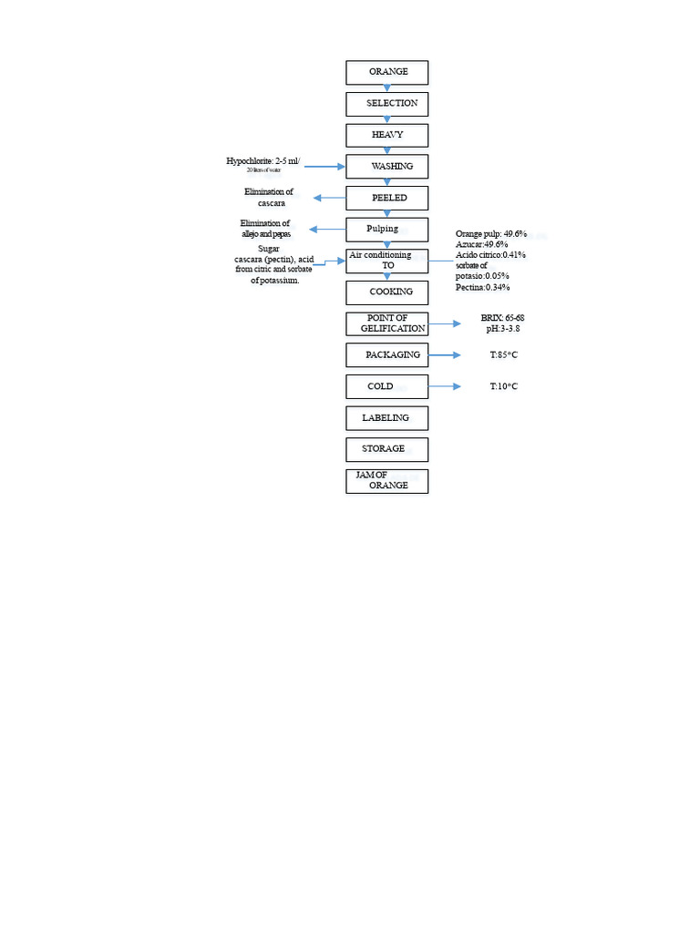 Orange Jam Production Process Guide | PDF