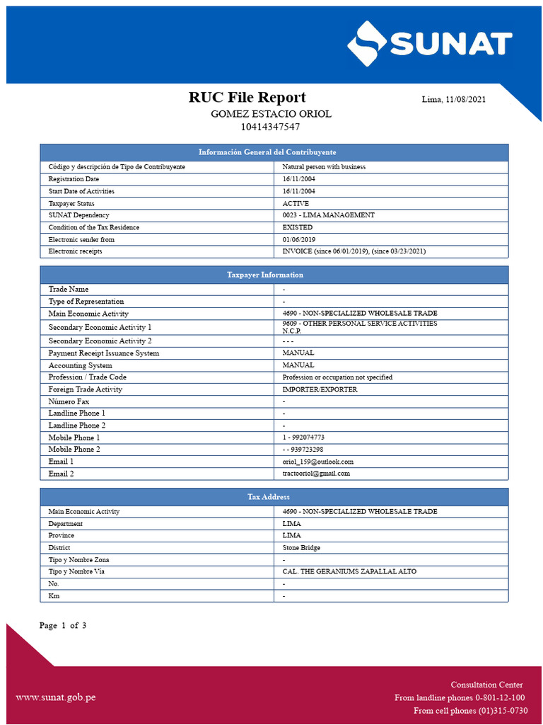 Example of RUC FILE of A Small and Medium-Sized Enterprise (SME) | PDF ...