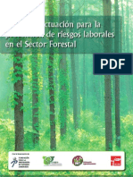 Pautas de Actuación para La Prevención de Riesgos Laborales en El Sector Forestal