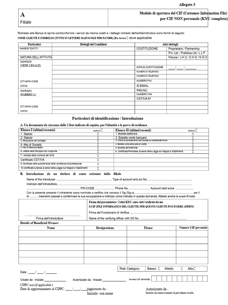 Modulo Cif Opg Entità Allegato 3 Kyc Completo | PDF