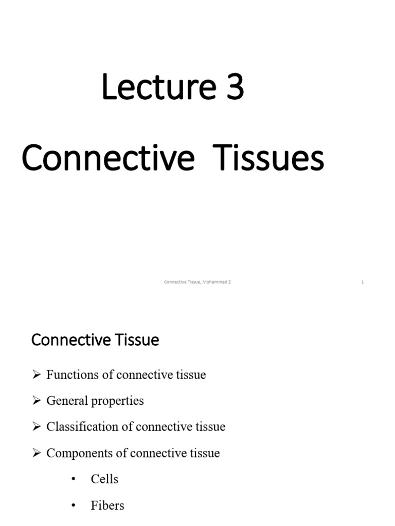 Overview of Connective Tissues | PDF | Connective Tissue ...