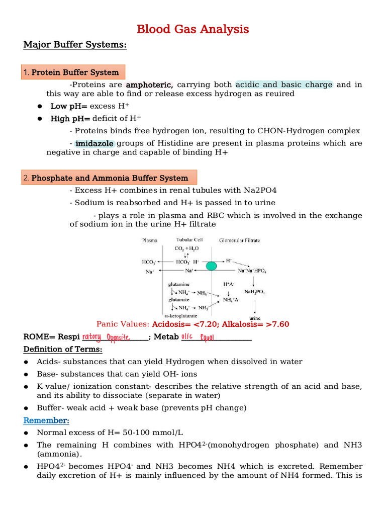 Blood Gas Analysis Final PDF | PDF | Buffer Solution | Bicarbonate