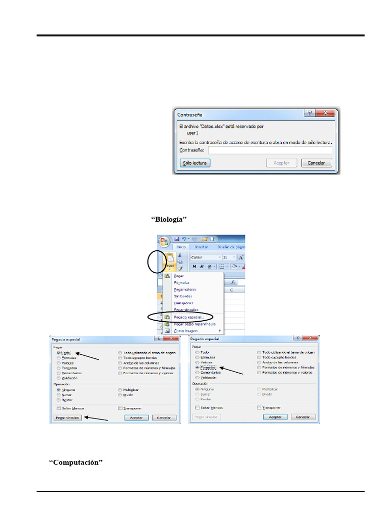 TP6 PC 2007 | PDF | Microsoft Excel | Archivo de computadora