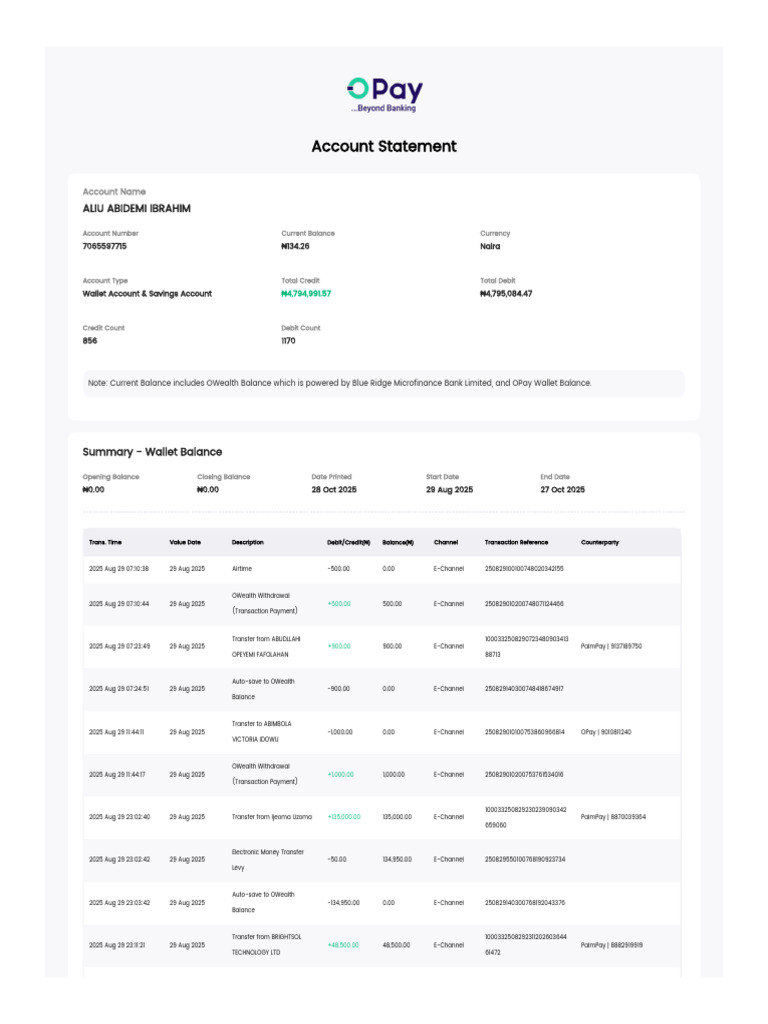 Wallet Account Statement Summary | PDF | Debit Card | Banks