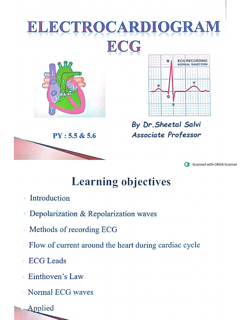 ECG | PDF