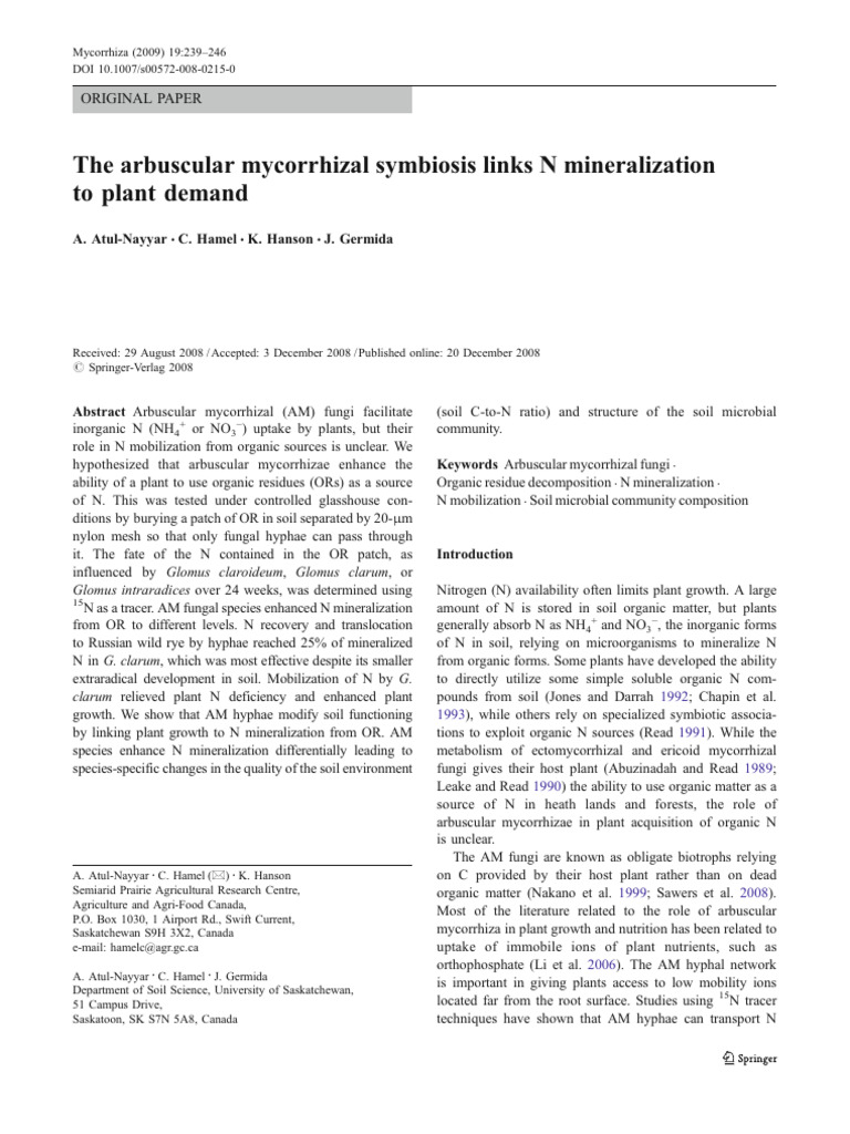 The Arbuscular Mycorrhizal Symbiosis Links N Mineralization To Plant ...