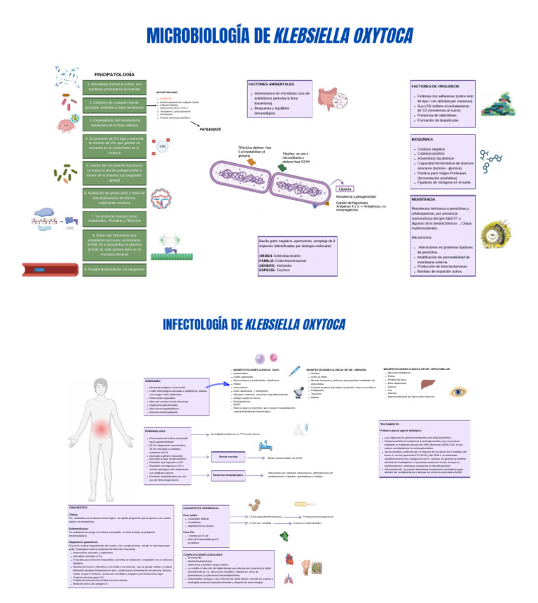 Klebsiella Oxytoca | PDF | Las bacterias | Septicemia