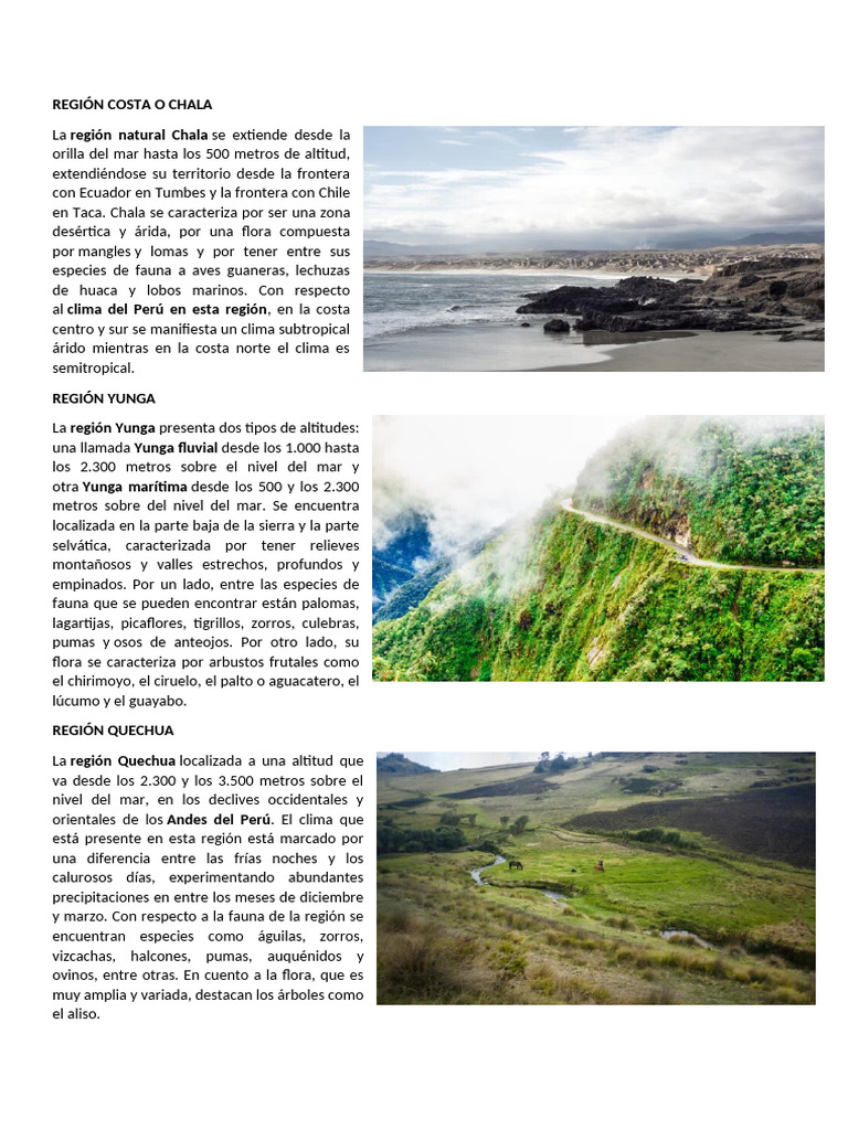 Regiones Naturales del Perú: Guía Completa | PDF | Ciencias de la Tierra