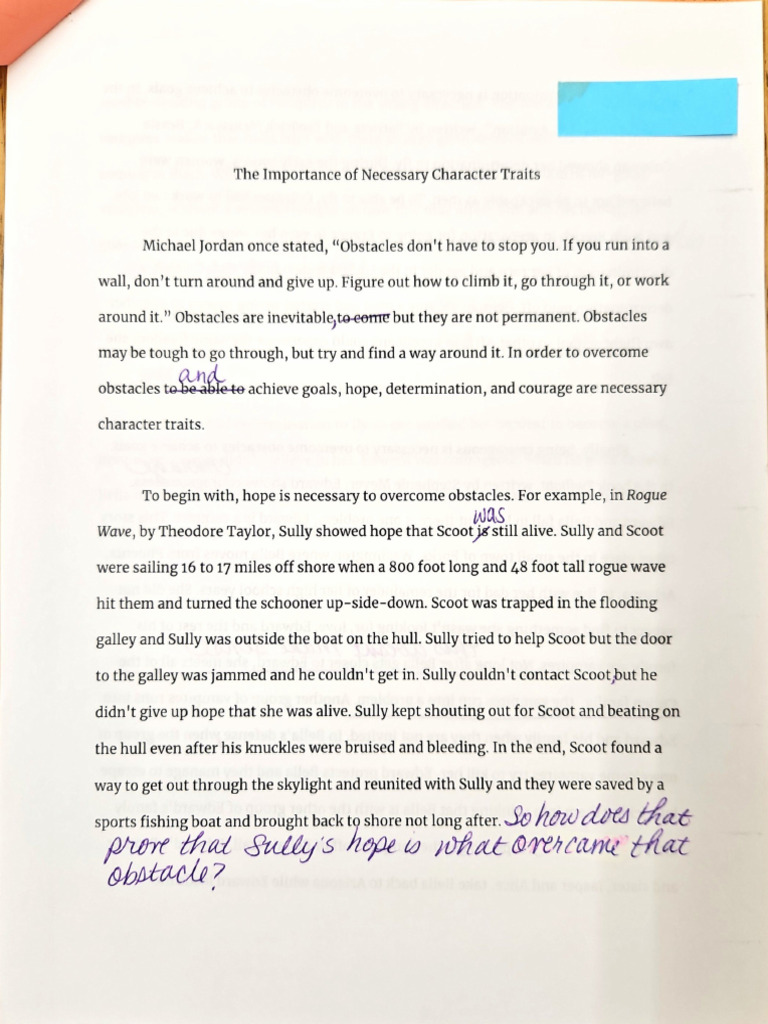 Informative Essay Example | PDF