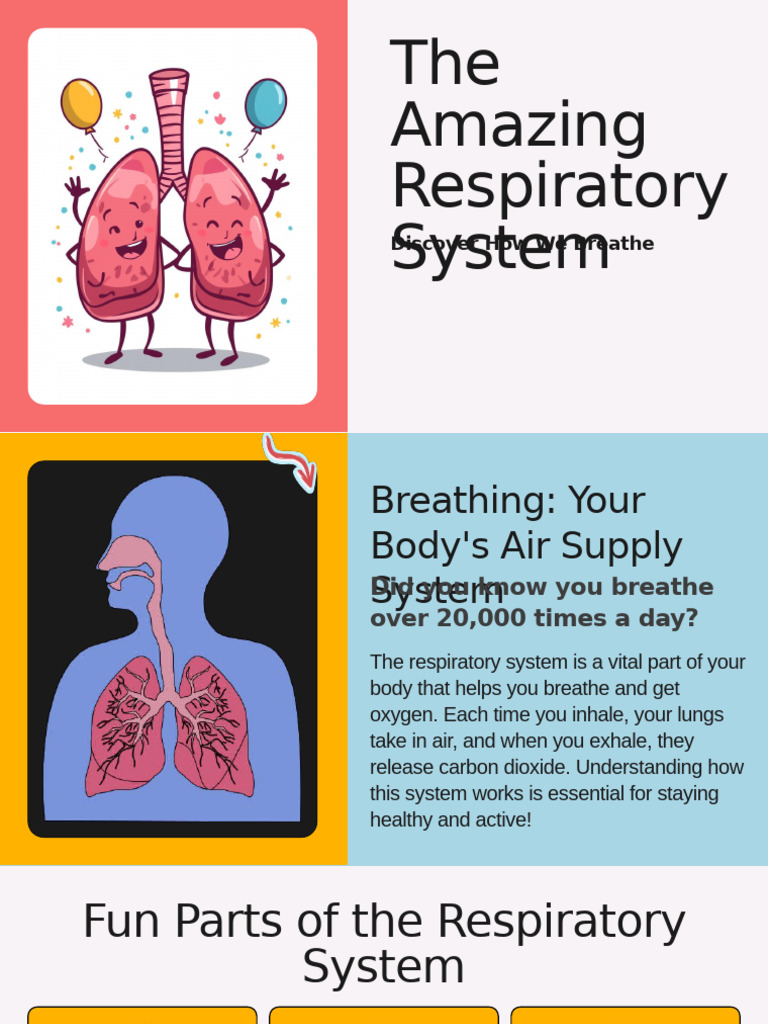 The Amazing Respiratory System | PDF | Respiratory Tract | Breathing