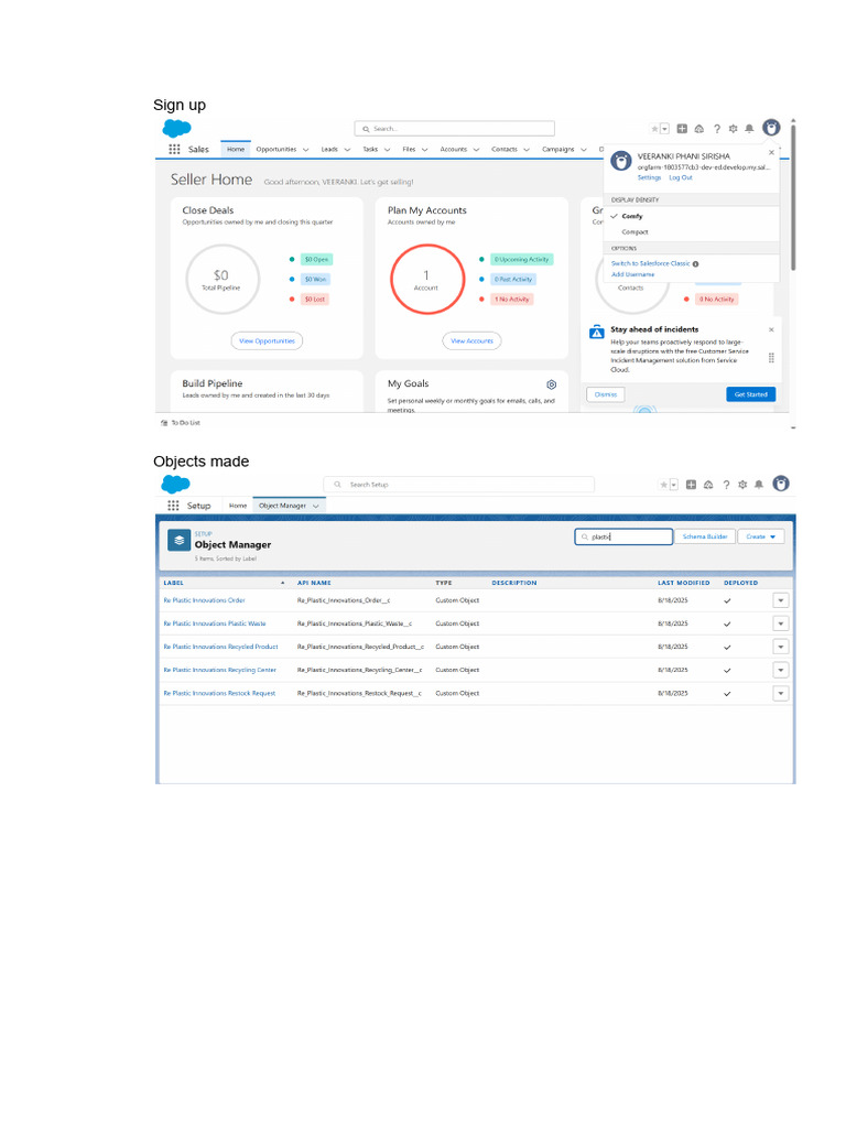 Salesforce Project - Final | PDF
