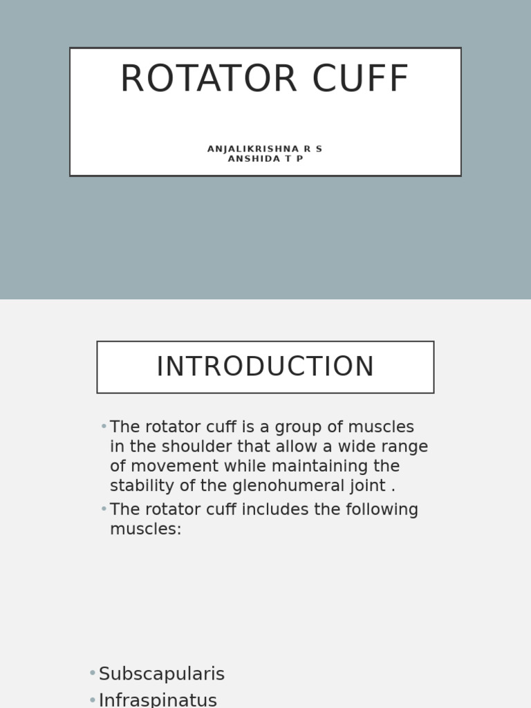Rotator Cuff | PDF | Shoulder | Musculoskeletal System