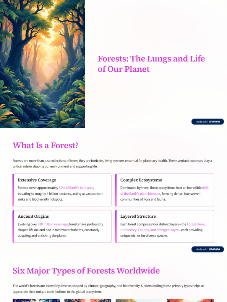 Importance of Forests for Earth’s Health | PDF | Forests | Rainforest