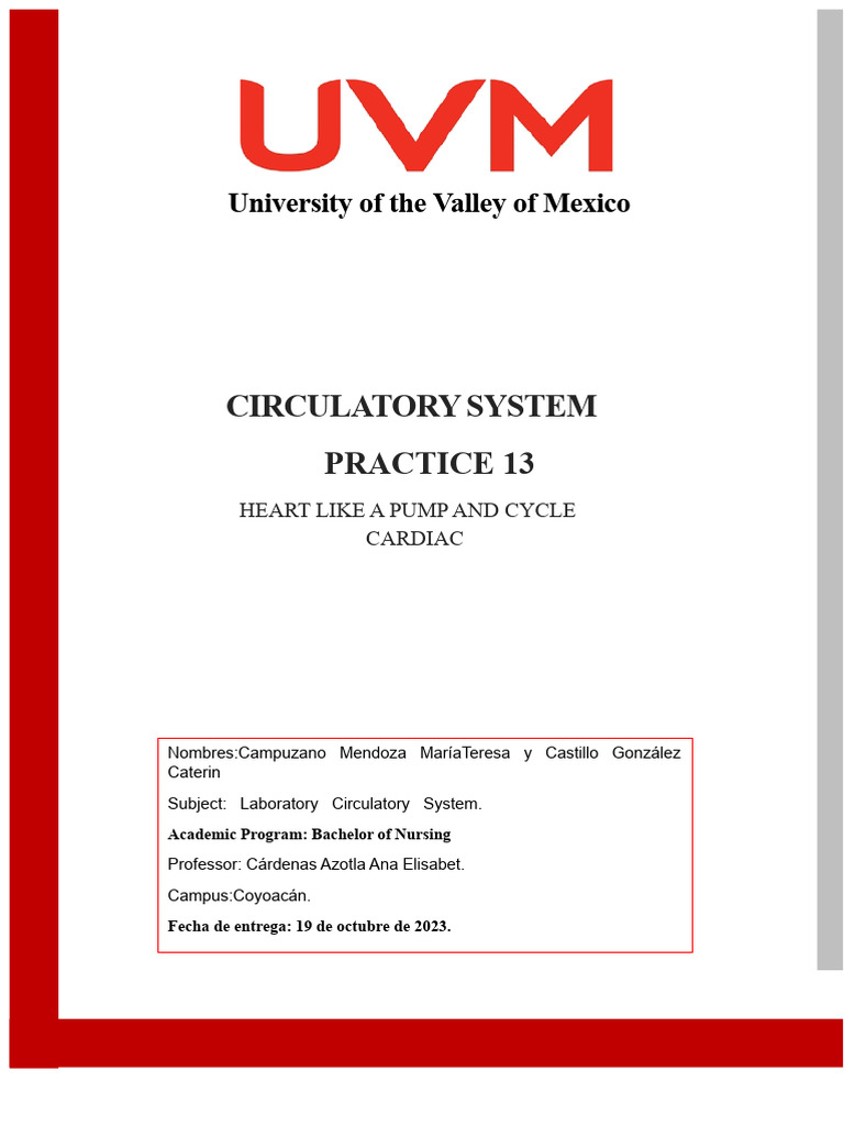 Practice 13 (Circulatory System) | PDF | Heart | Ventricle (Heart)