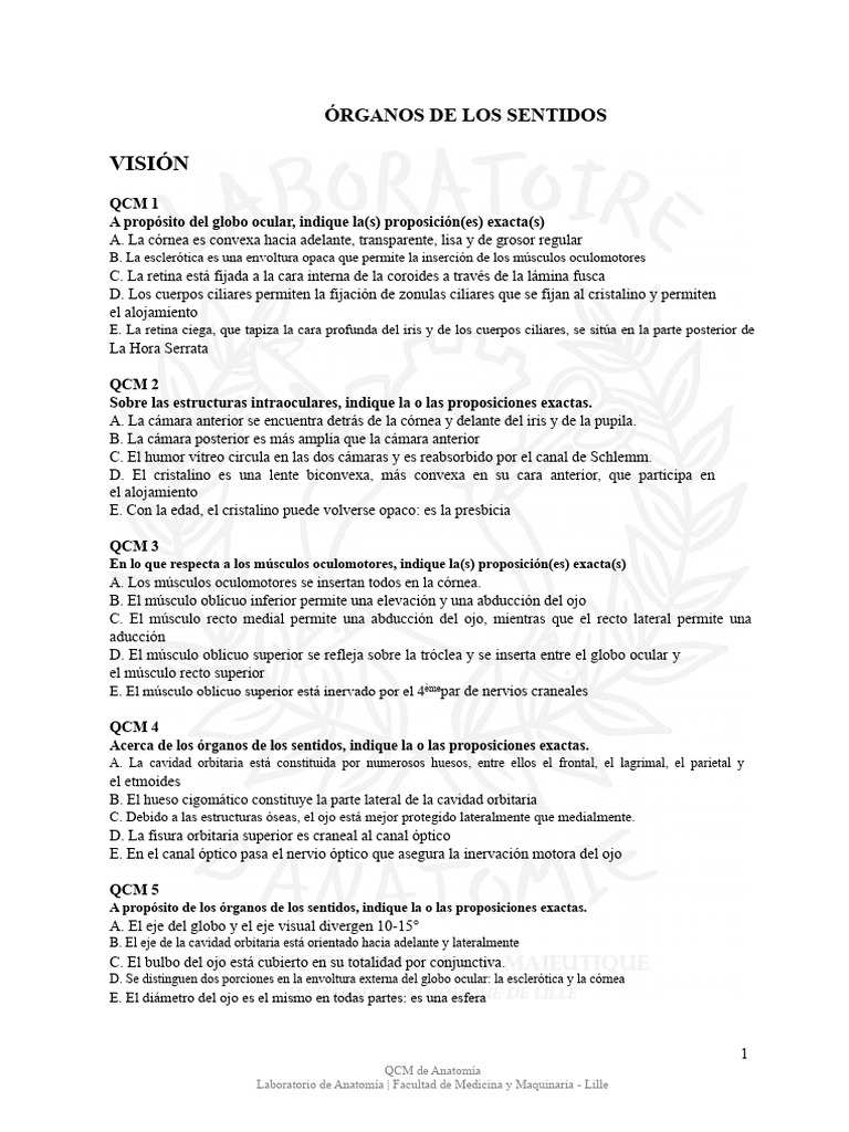 Anatomía de los Órganos de los Sentidos | PDF | Ojo humano | Percepción ...
