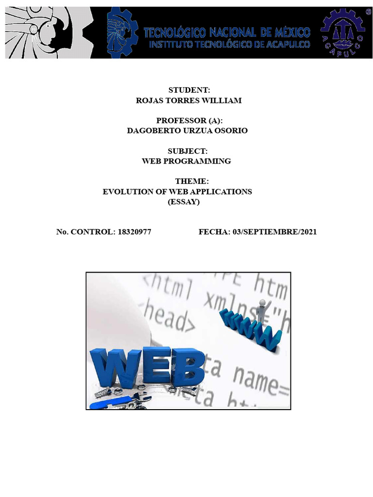 Evolution of Web Applications (Essay) | PDF | World Wide Web | Internet ...