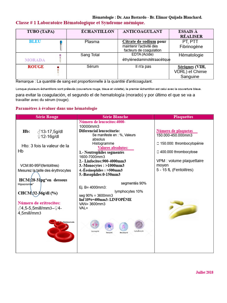 Hématologie et Syndrome Anémique : Guide | PDF | Fluides corporels | Sang