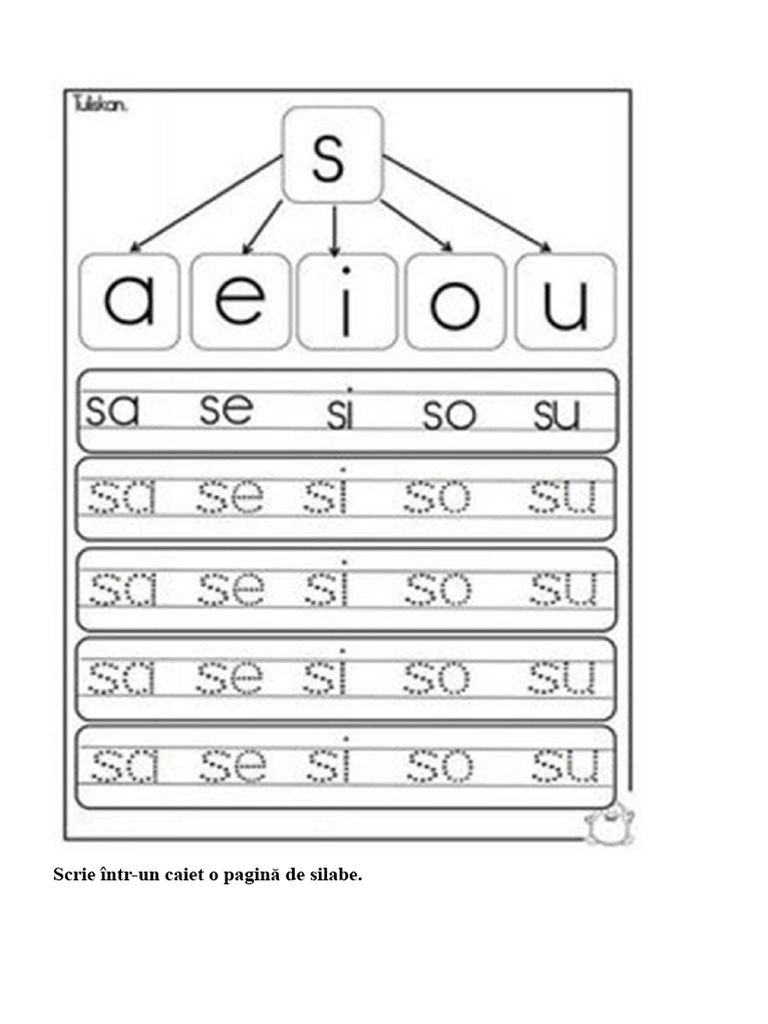 Activ - Cu Litera S | PDF