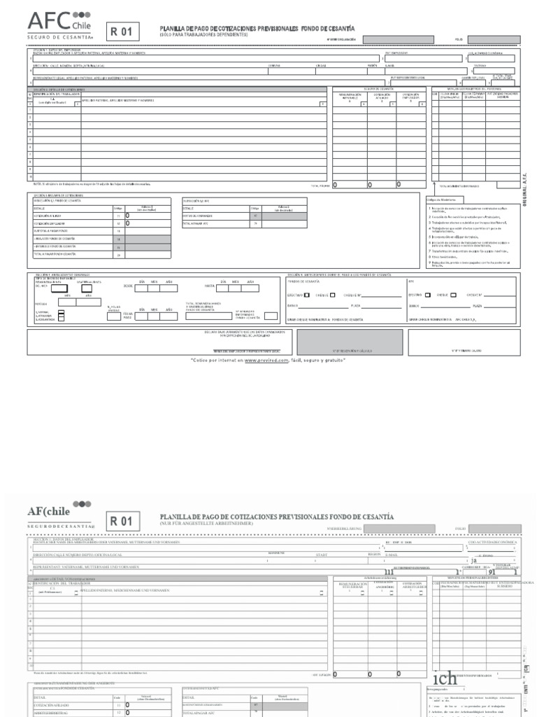 Formular R - 01 | PDF