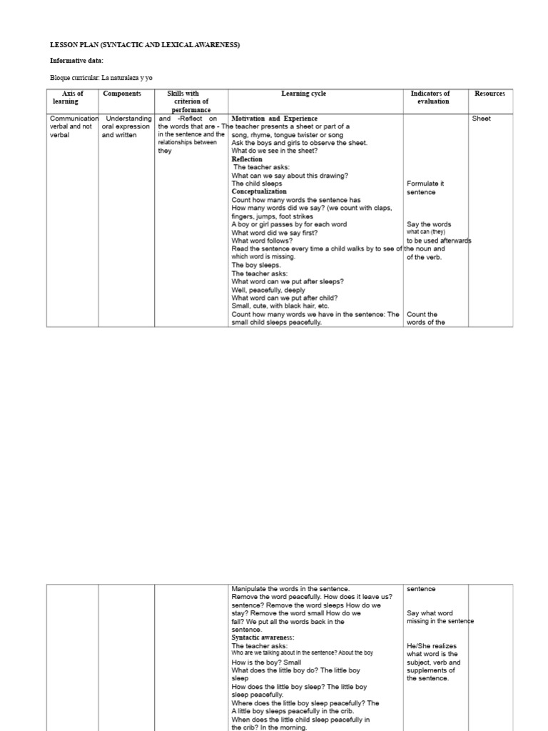Syntactic and Lexical Awareness Lesson Plan | PDF | Word | Sentence ...