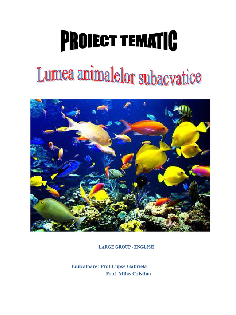 Underwater Animals Project for Kids | PDF | Sea | Fish