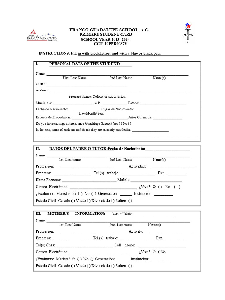 Student Record Format Primary School | PDF