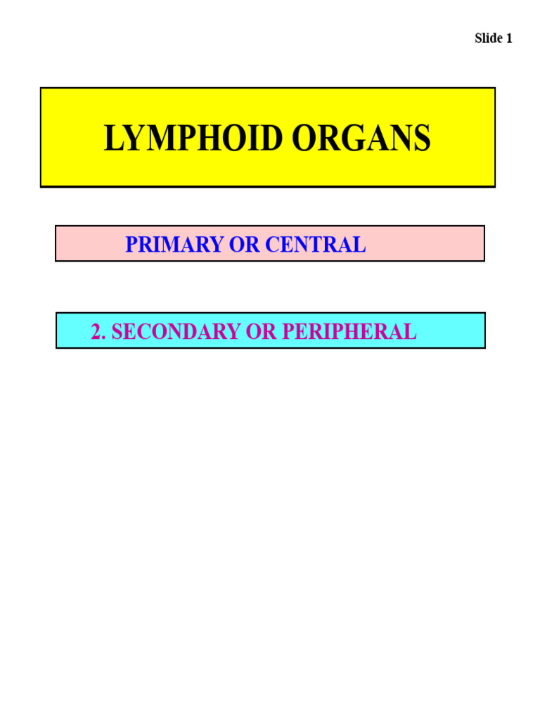 Overview of Lymphoid Organs and Functions | PDF | Lymphatic System ...