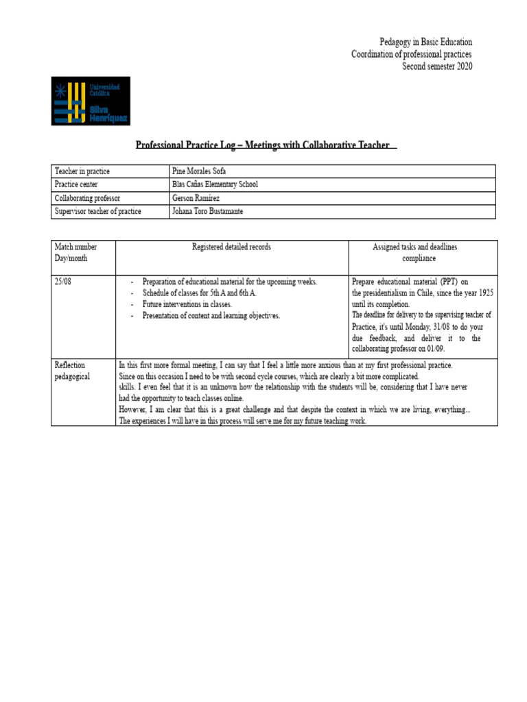 Professional Practice Log | PDF | Teachers | Pedagogy
