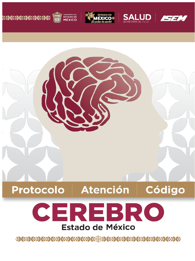 Protocole D'attention Code Cerveau | PDF | Accident vasculaire cérébral ...