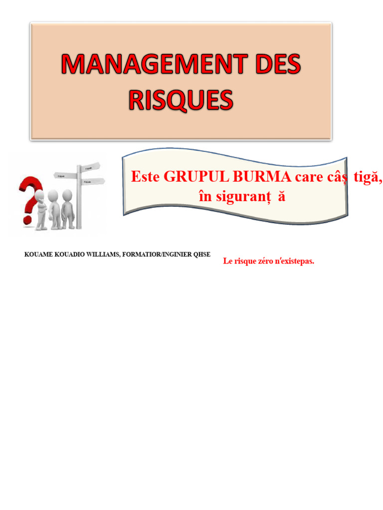 Modul Despre Managementul Riscurilor | PDF