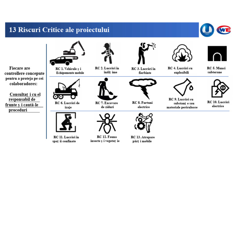13 Riscuri Critice | PDF