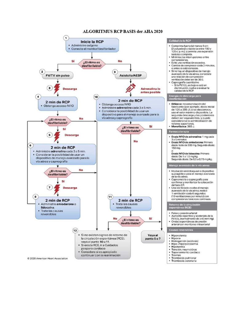 Algorithmus-CPR-AHA 2022 | PDF