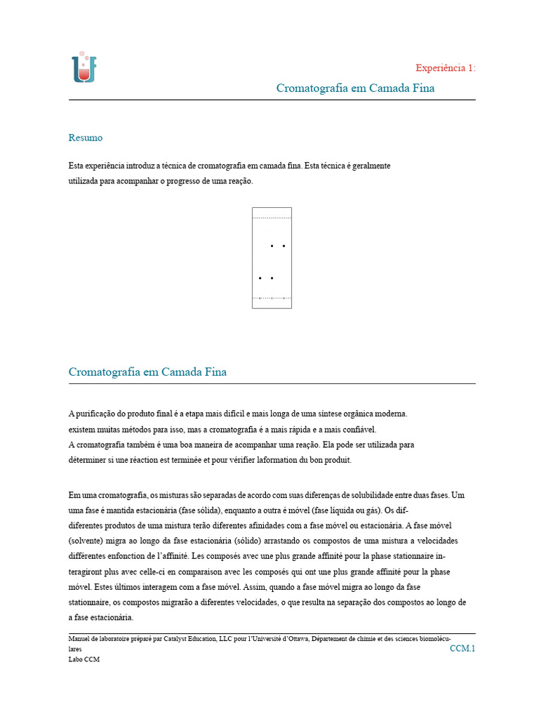 Experiência 1: Cromatografia em Camada Fina | PDF | Cromatografia ...