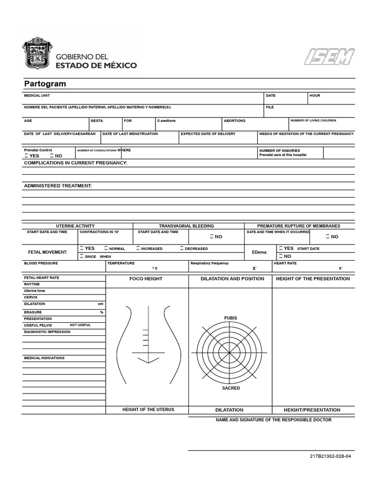 284379252 Isem Format Partogram | PDF | Childbirth | Pregnancy