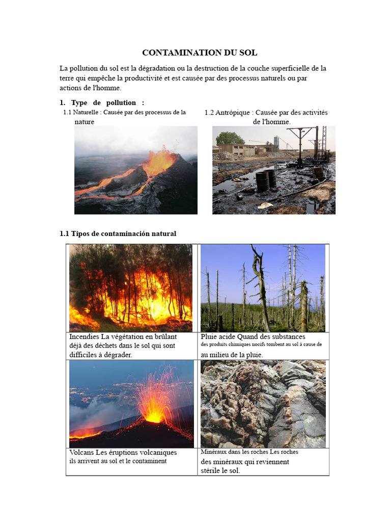 Pollution du sol : types et solutions | PDF
