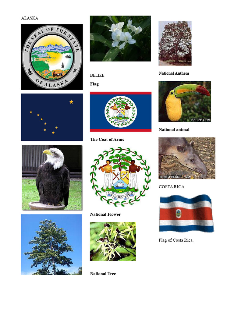 National Symbols of Various Countries | PDF | Caribbean | Heraldry