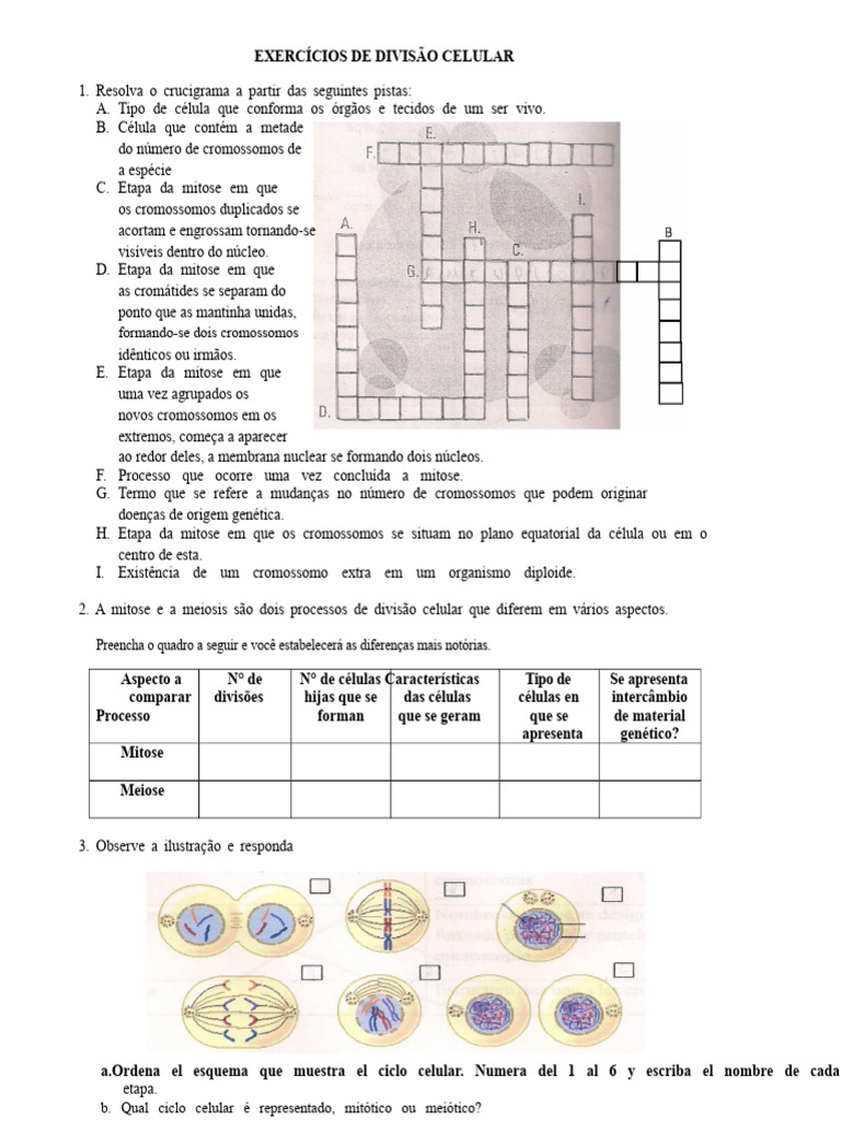 Exercícios sobre Divisão Celular | PDF