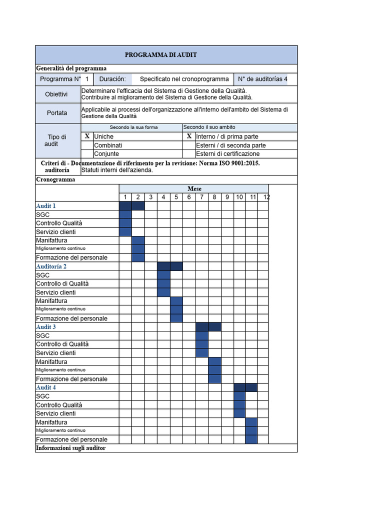 Programma e Piano Di Audit | PDF